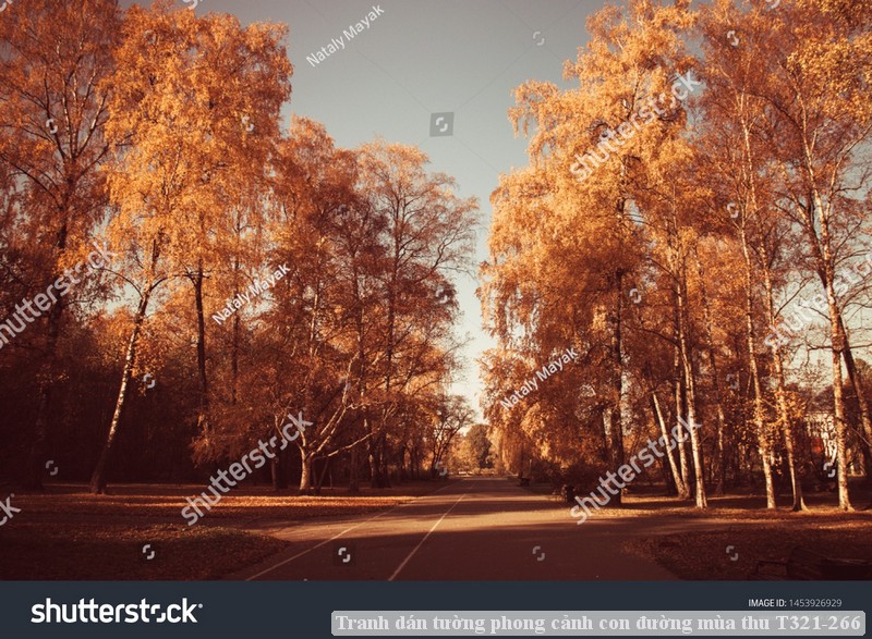 Tranh dán tường phong cảnh con đường mùa thu T321-266